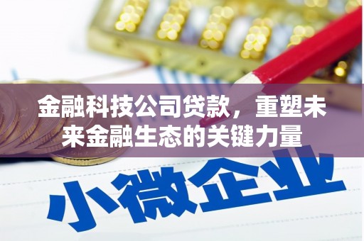 六甲金融科技公司贷款，重塑未来金融生态的关键力量