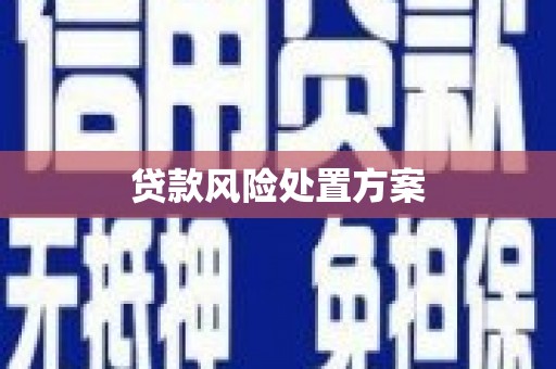 六甲贷款风险处置方案