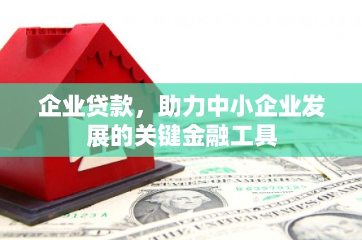 六甲企业贷款，助力中小企业发展的关键金融工具