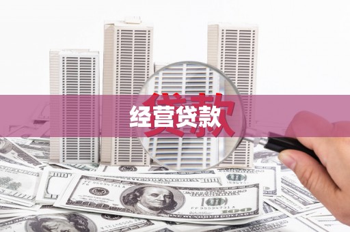 六甲经营贷款