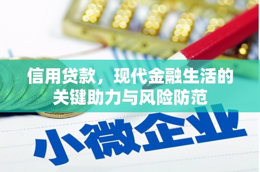 六甲信用贷款，现代金融生活的关键助力与风险防范