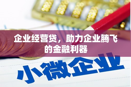 六甲企业经营贷，助力企业腾飞的金融利器