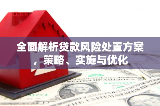 六甲全面解析贷款风险处置方案，策略、实施与优化