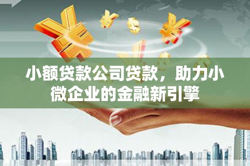 六甲小额贷款公司贷款，助力小微企业的金融新引擎