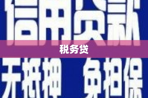 六甲税务贷