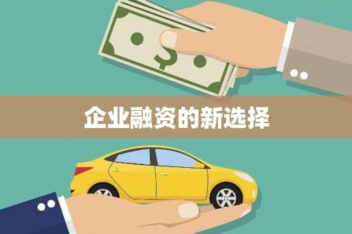 六甲企业融资的新选择