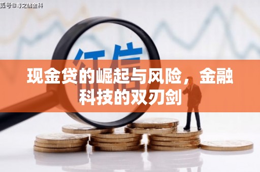六甲现金贷的崛起与风险，金融科技的双刃剑