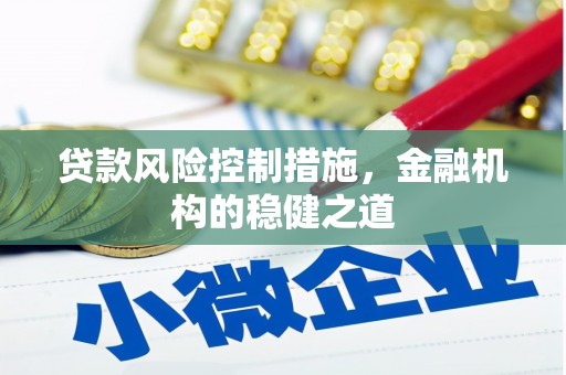 六甲贷款风险控制措施，金融机构的稳健之道