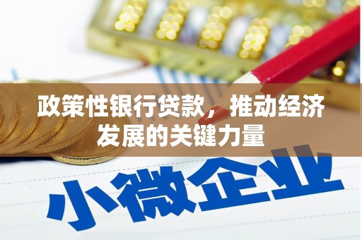 六甲政策性银行贷款，推动经济发展的关键力量
