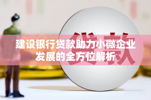 六甲建设银行贷款助力小微企业发展的全方位解析