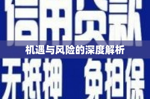 六甲机遇与风险的深度解析