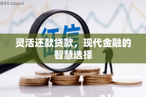 六甲灵活还款贷款，现代金融的智慧选择
