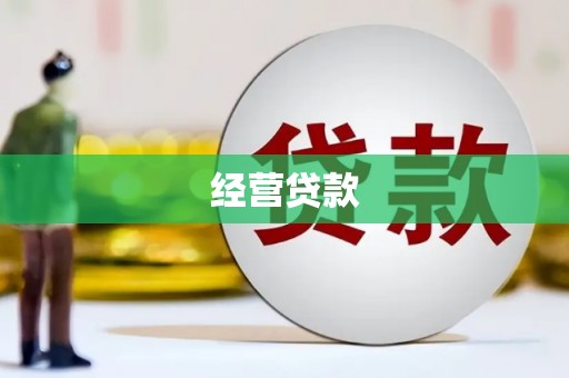 六甲经营贷款