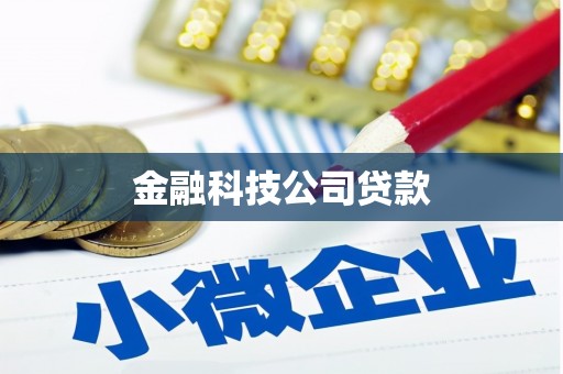 六甲金融科技公司贷款