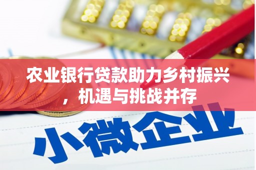 六甲农业银行贷款助力乡村振兴，机遇与挑战并存