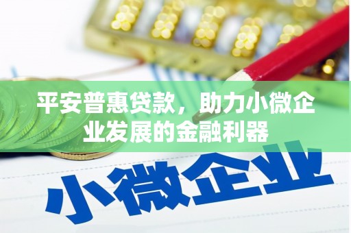 六甲平安普惠贷款，助力小微企业发展的金融利器