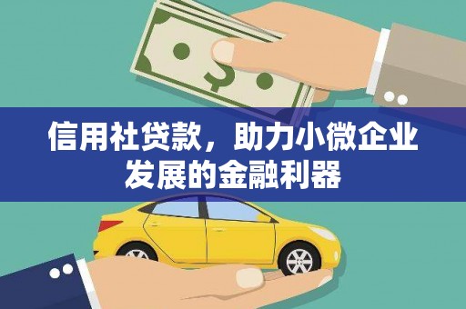 六甲信用社贷款，助力小微企业发展的金融利器