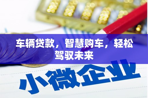 六甲车辆贷款，智慧购车，轻松驾驭未来