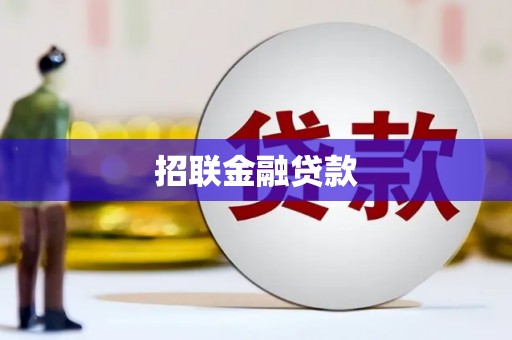 六甲招联金融贷款