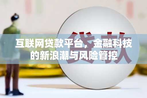 六甲互联网贷款平台，金融科技的新浪潮与风险管控