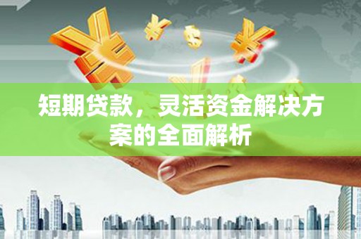 六甲短期贷款，灵活资金解决方案的全面解析