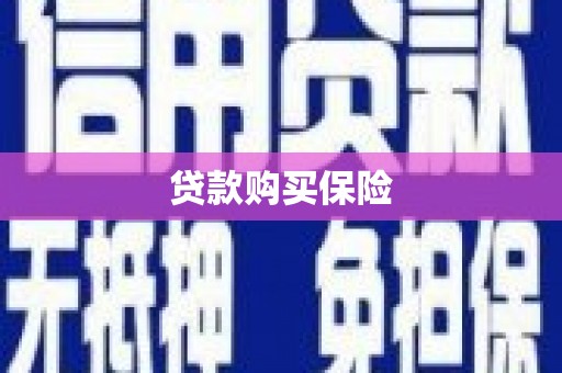 六甲贷款购买保险