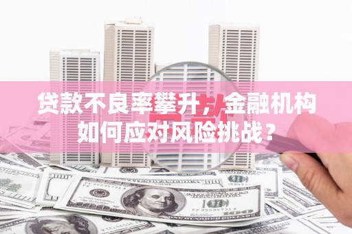 六甲贷款不良率攀升，金融机构如何应对风险挑战？