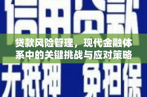 六甲贷款风险管理，现代金融体系中的关键挑战与应对策略