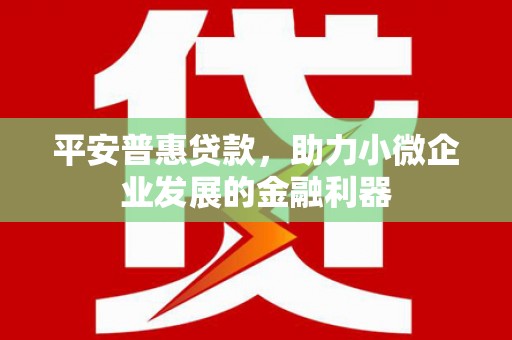 六甲平安普惠贷款，助力小微企业发展的金融利器
