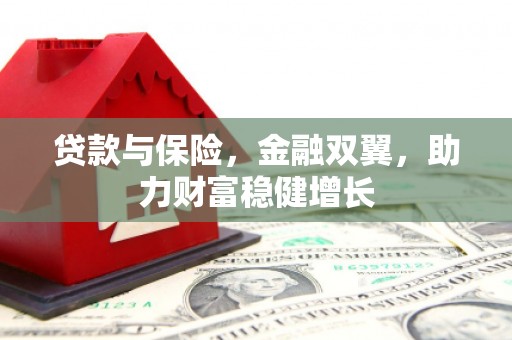 六甲贷款与保险，金融双翼，助力财富稳健增长