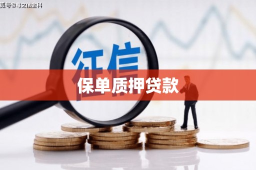 六甲保单质押贷款