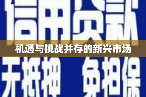 六甲机遇与挑战并存的新兴市场
