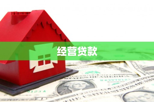六甲经营贷款